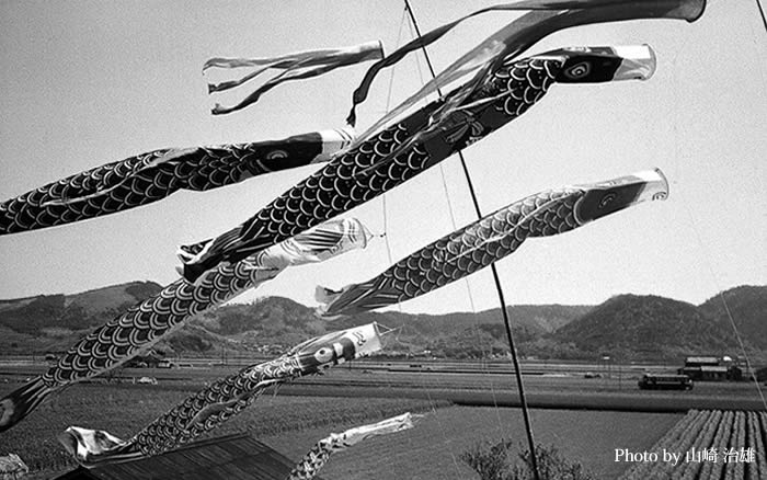 大師駅と鯉のぼり